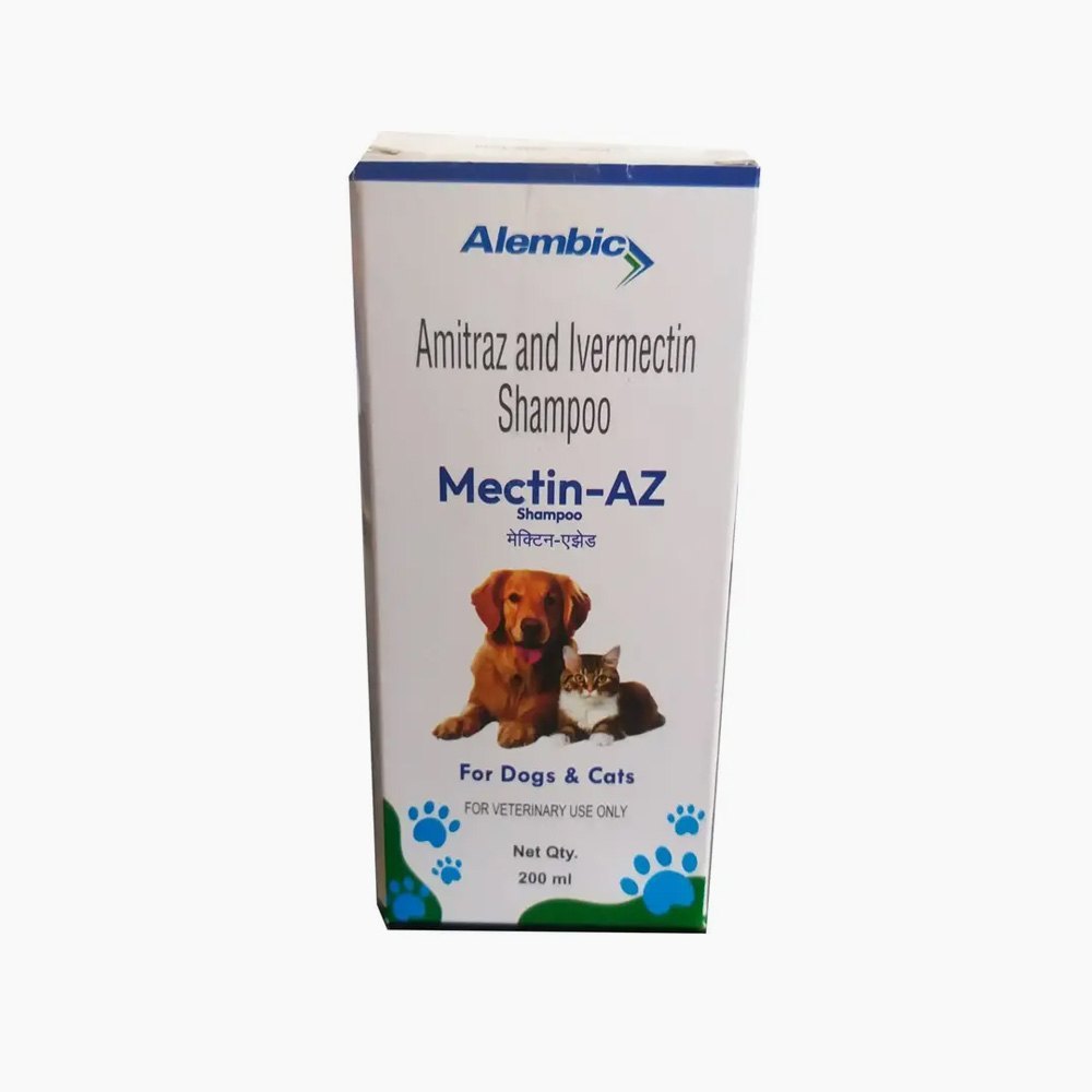 1 slide