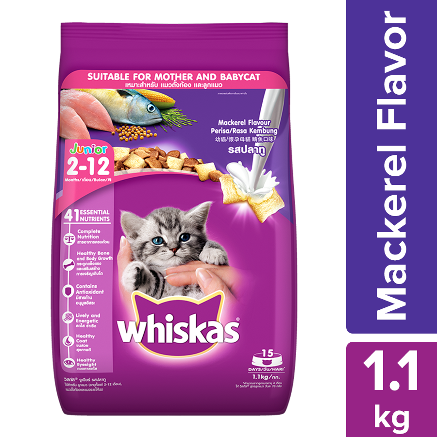 Whiskas Junior Mackerel Flavour With Milk Cat Dry Food - Image 2