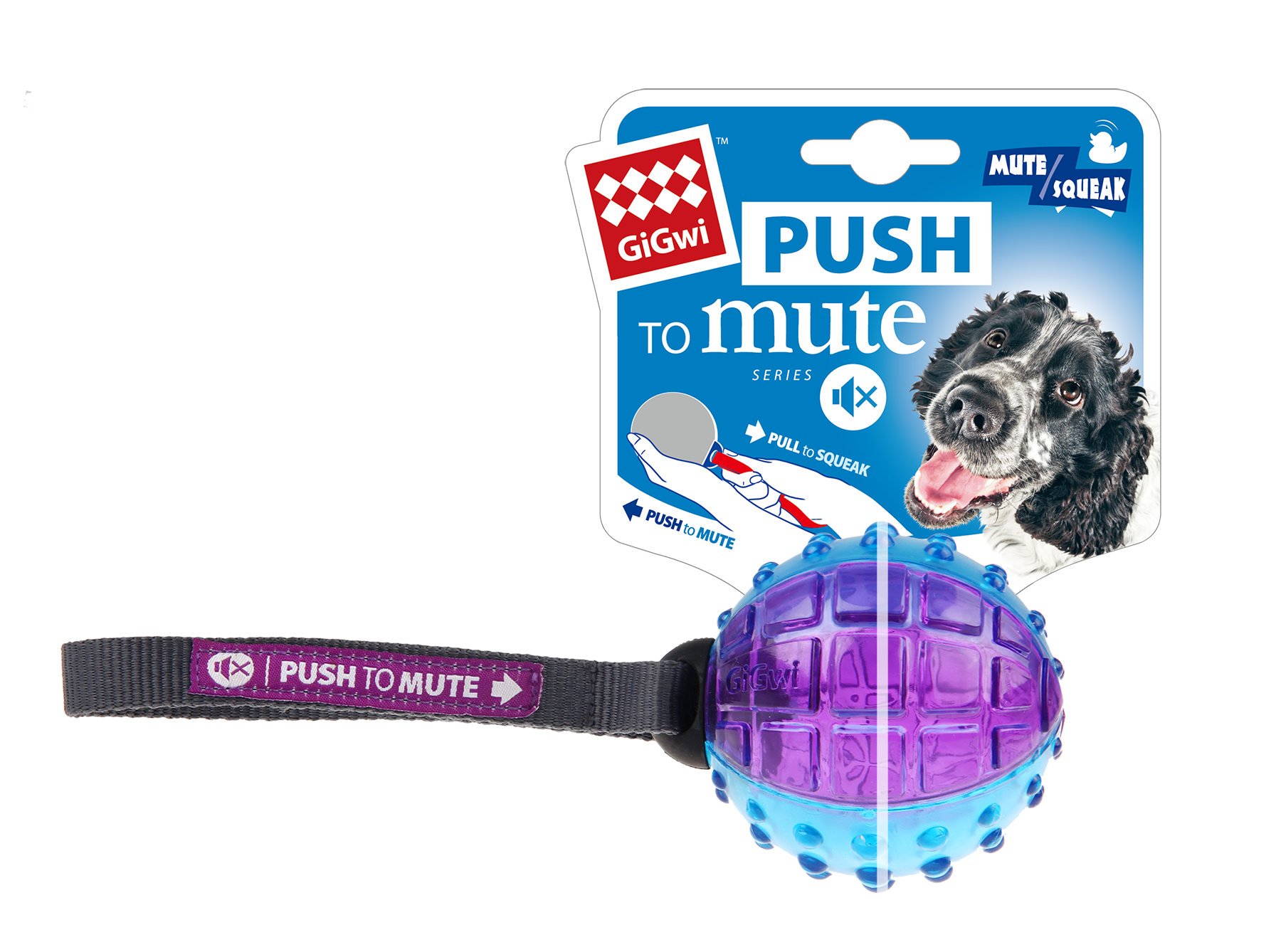 Gigwi Owl Push To Mute Purple/Blue Transparent Dog Toy