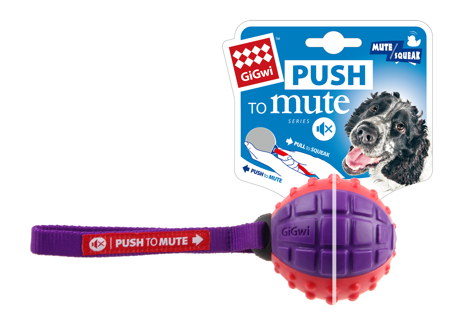 Gigwi Push To Mute Ball Transparent Purple/Blue Toy