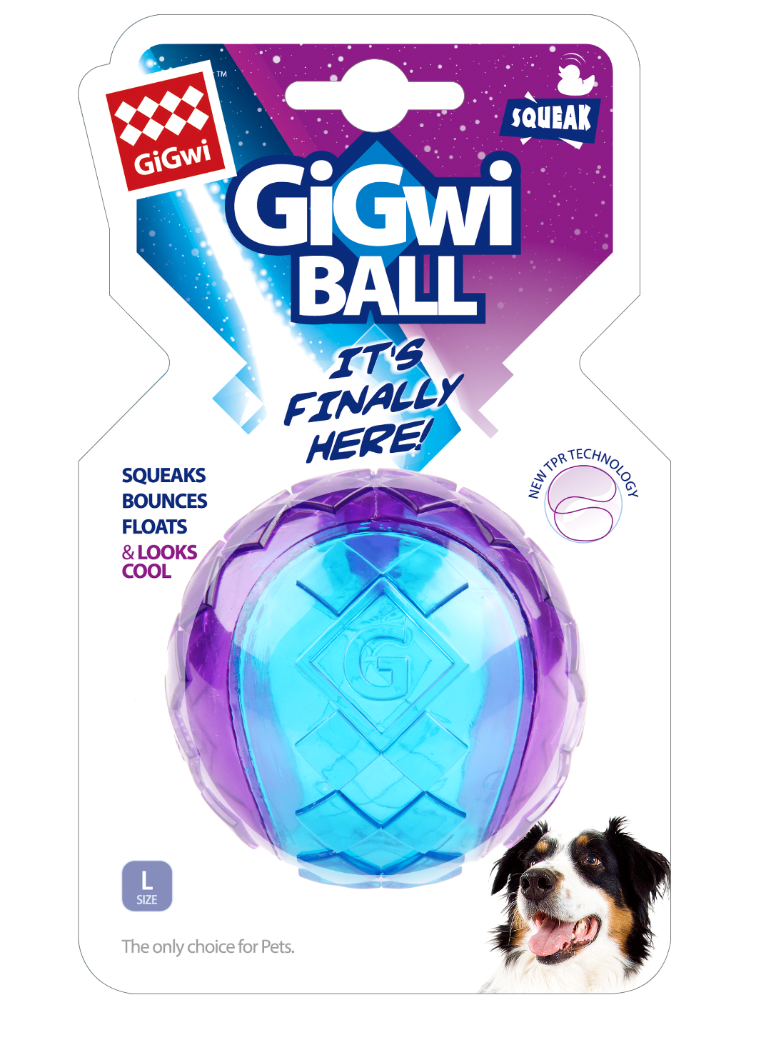 Gigwi Ball Squeaker Solid Purple/BlueDog Toy