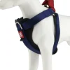 Gigwi Harness Premium Line Small Blue