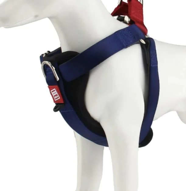 Gigwi Harness Premium Line Small Blue