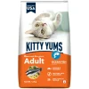 Drools Kitty Yums Cat Adult Ocean Fish Dry Food