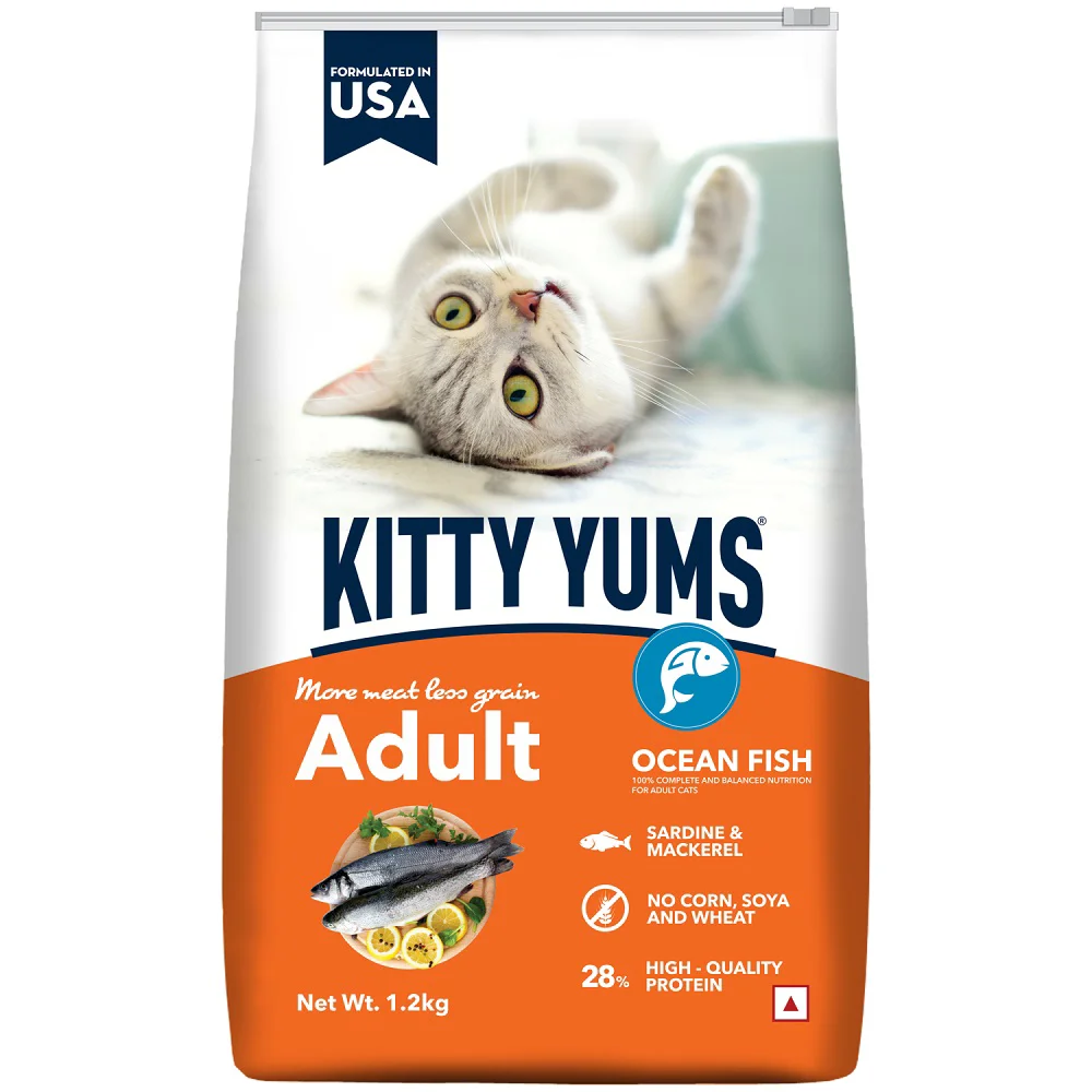Drools Kitty Yums Cat Adult Ocean Fish Dry Food