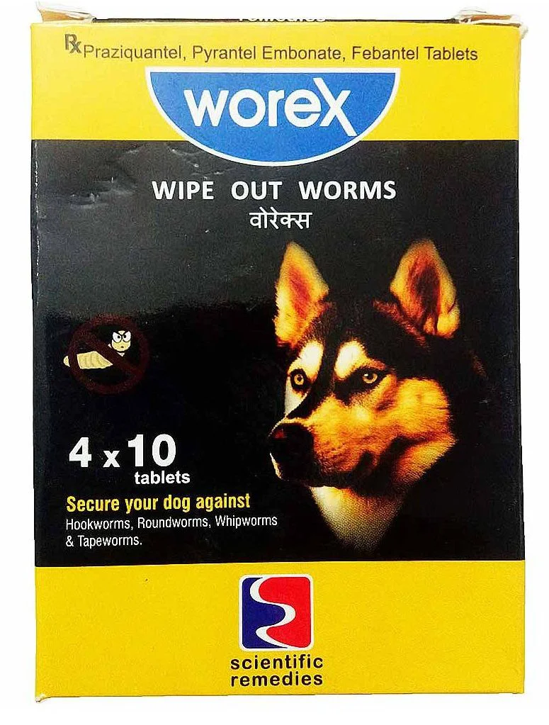 Scientific Remedies Worex  Tablets