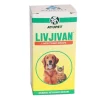 Ayupet Livjivan Liver Tonic Drops