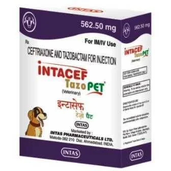 Intas Intacef -Tazo Pet 562.5mg
