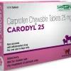 Savavet Carodyl 25mg Tablet