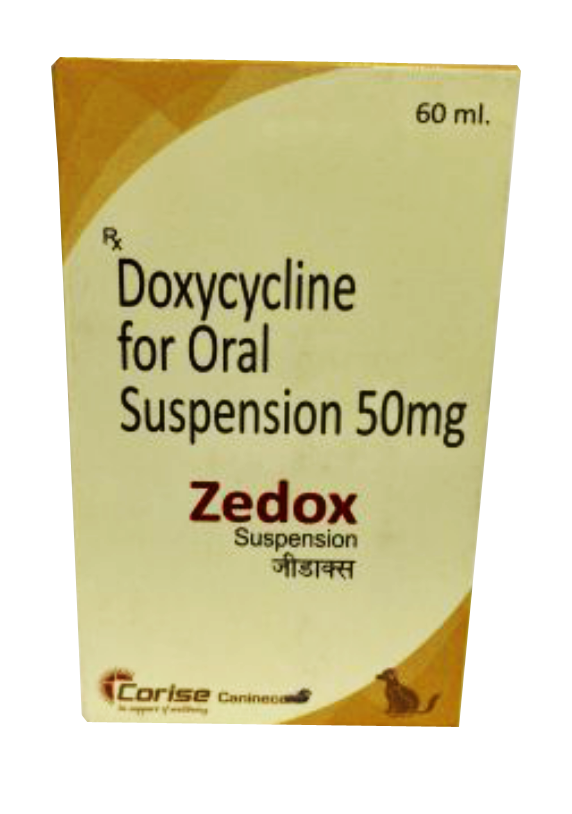Corise Zedox Suspension