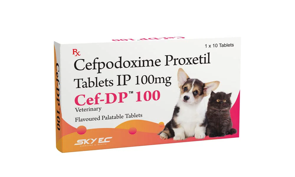 SkyEc Cef Dp Anti- Biotic Tablet 100mg For Dogs