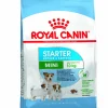 Royal Canin Mini Starter Mother & Baby Dog Dry Dog Food