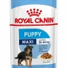 Royal Canin Maxi Puppy Gravy Salsa (Pouch)