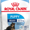Royal Canin Maxi Puppy Dry Dog Food