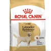 Royal Canin Labrador Retriever Adult Dry Dog Food