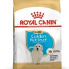 Royal Canin Golden Retriever Puppy Dry Dog Food
