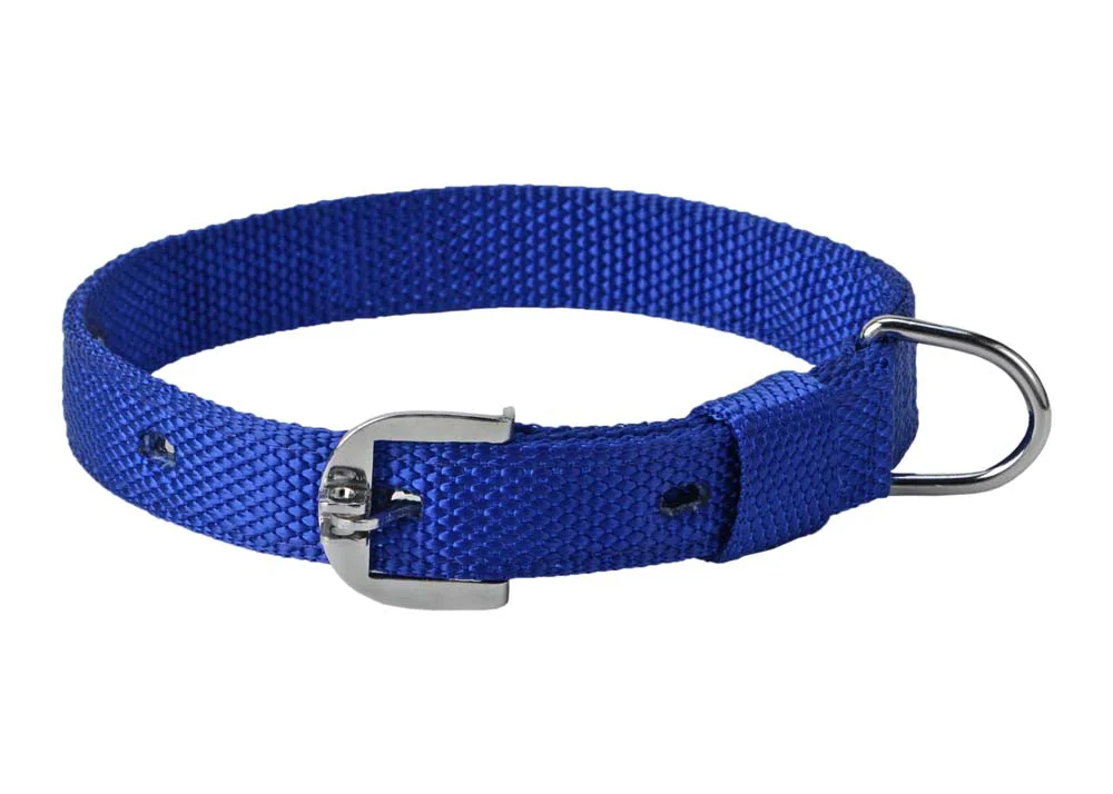 Kennel Premium Nylon Collar (W = 1")