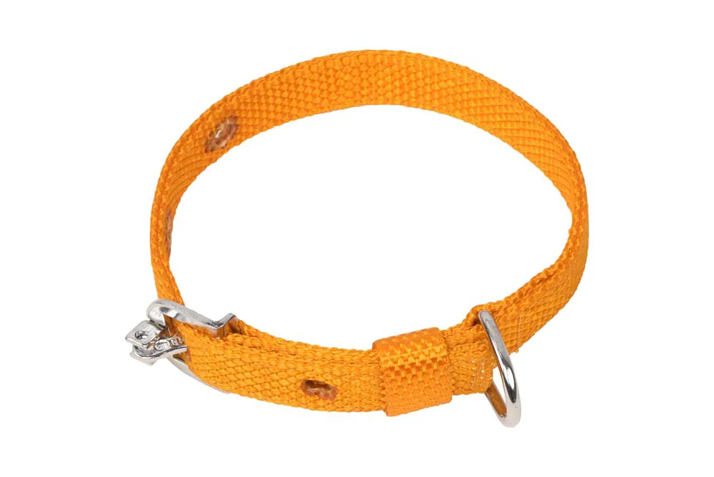 Kennel Nylon Collar (W = 1/2")