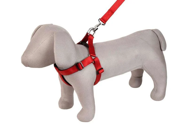 Kennel Padded Soft Nylon Adjustable Harness (W =  3/4")