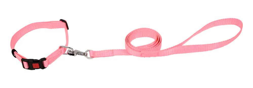 Kennel Soft Nylon Adjustable Click Lock Collar & Nylon Lead (W = 1")