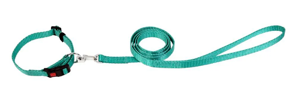 Kennel Soft Nylon Premium Adjustable Click Lock Collar & Lead (W = 1/2")