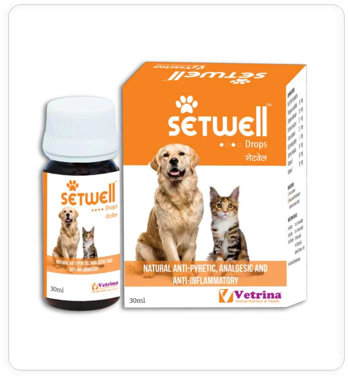 Vetrina Setwell Natural anti-pyretic, analgesic and anti-inflammatory medication