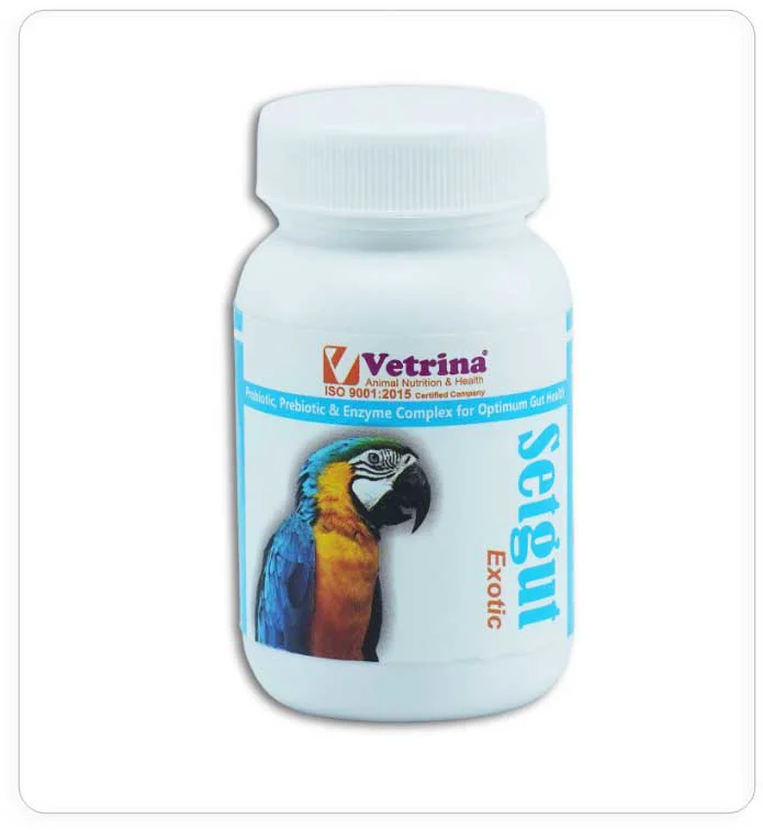 Vetrina Setgut Exotic Powder