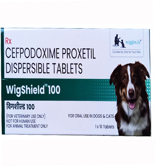 Wiggles Wigshield Tablet For Dog