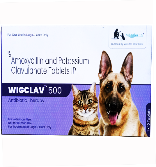 Wiggles Wigclav 500mg Tablet For Dog