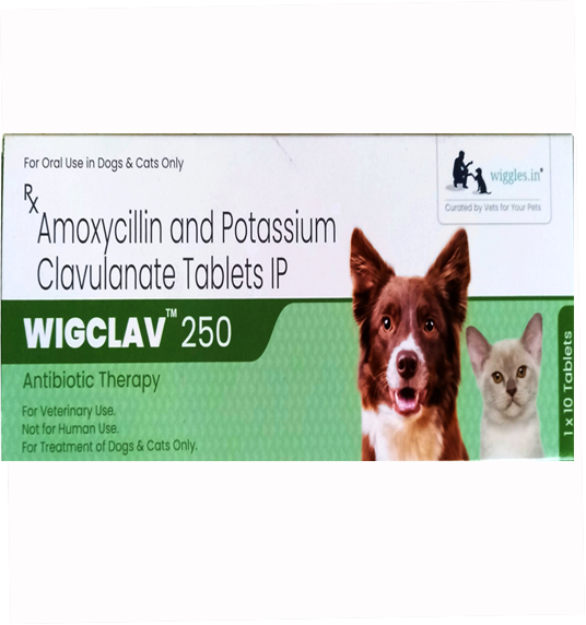 Wiggles Wigclav 250mg Tablet For Dogs