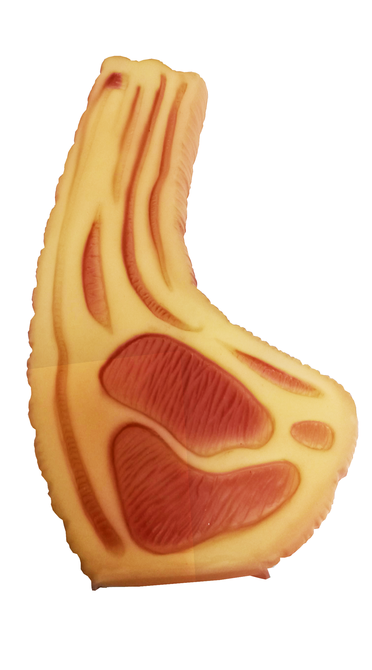 Smarty Pet Squeaky Dog Toy