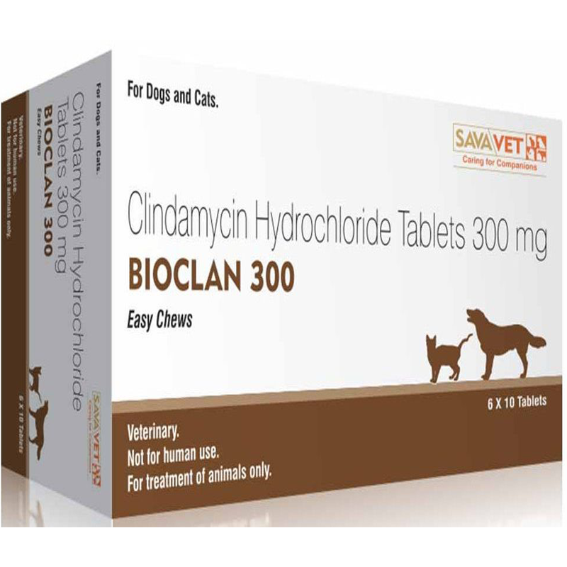 Savavet Bioclan 300mg Tablet