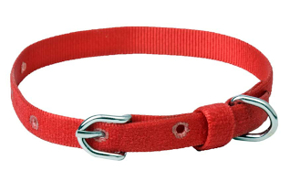 PetComfort Furlon Mini Colloar (W=1/4")