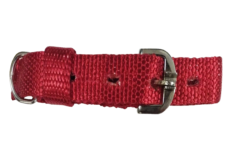 Scoobee Royal Collar (W=1")