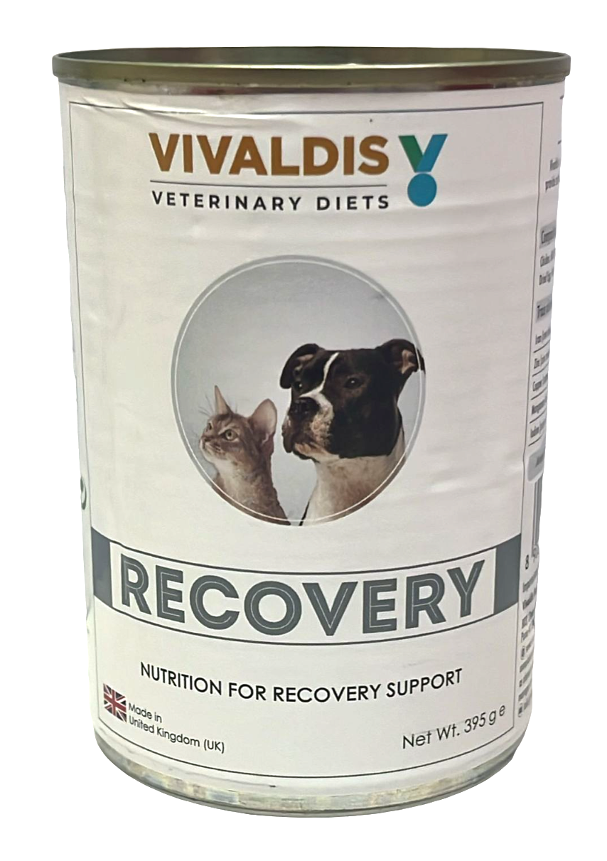Vivladis RX Diet Recovery can 395gms