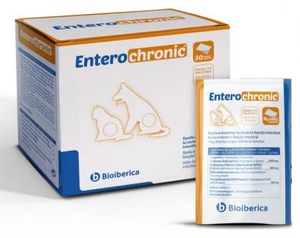 Vivaldis Entero-Chronic 60 Saches