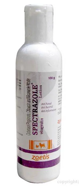 Zenex Spectrazole Anti Fungal Lotion 100ml