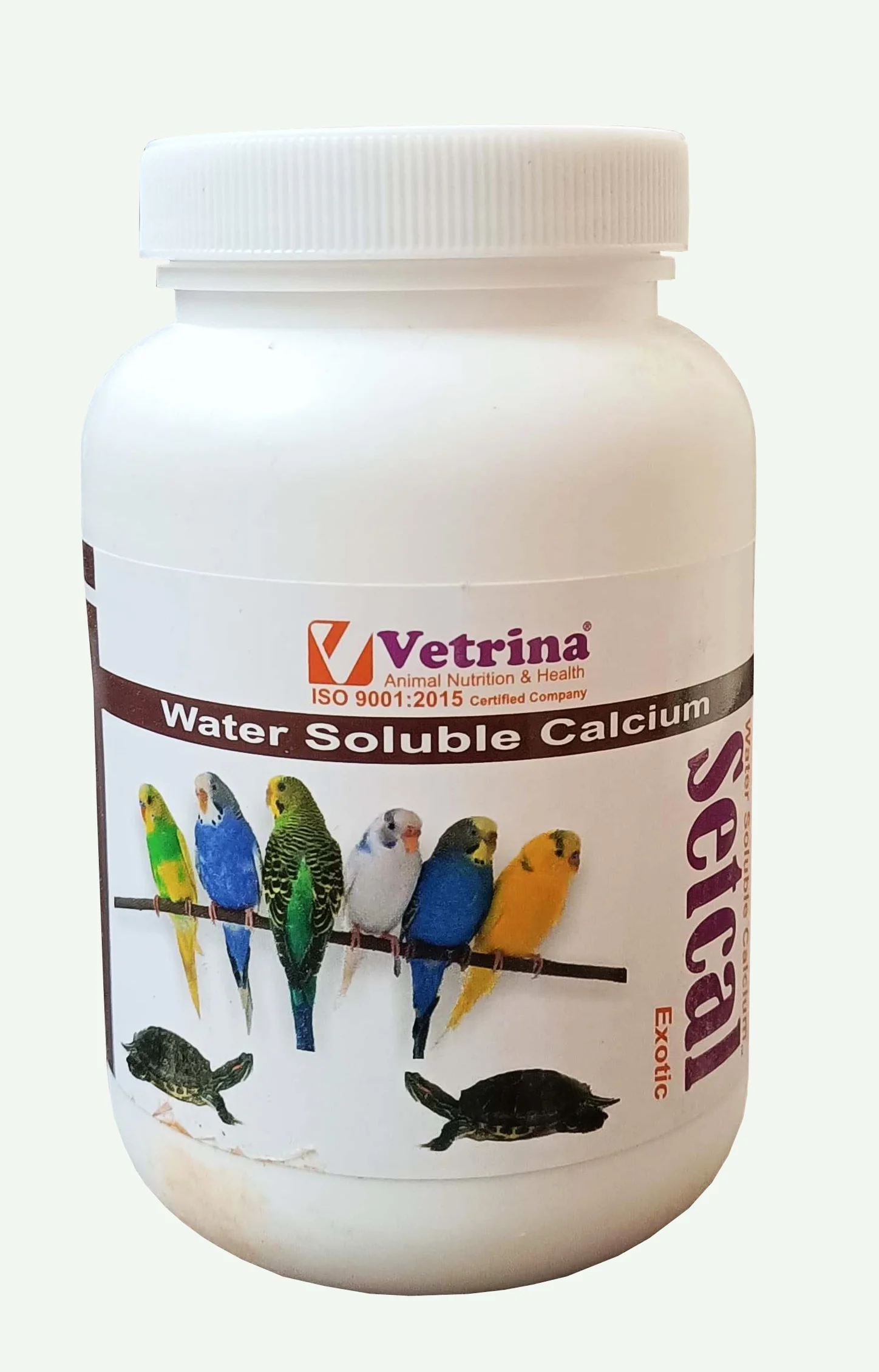 Vetrina Setcal Exotic Powder 125gm