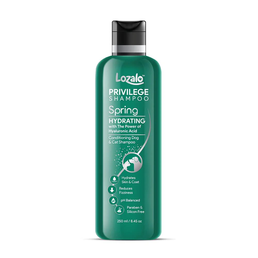 Lozalo Spring Con Shampoo 250ML
