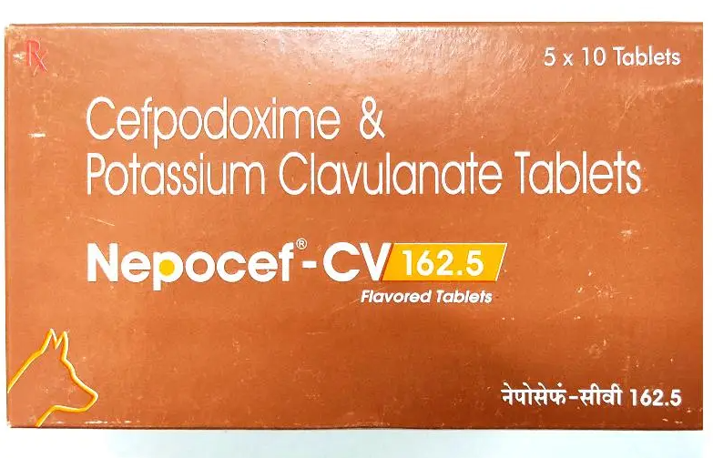 TTK Nepocef -CV 162.5 Tablets
