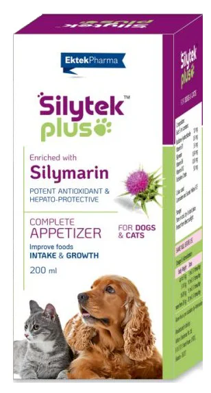 Ektek Silytek Plus Liquid 200ml