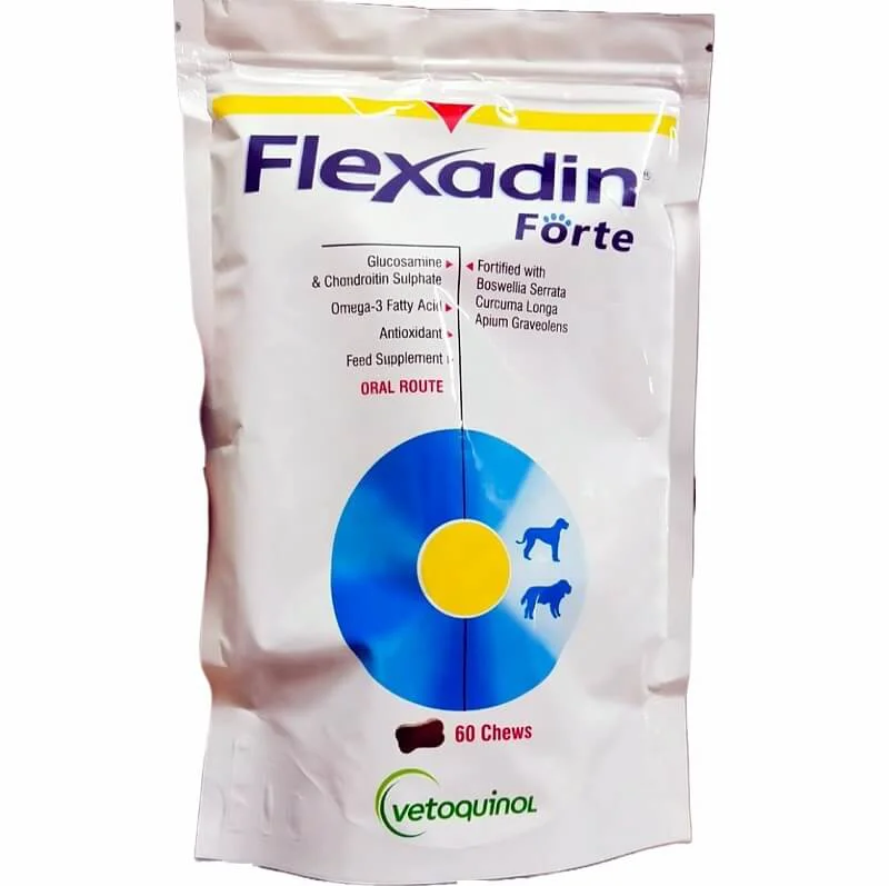 Flexadin forte Chew 60's