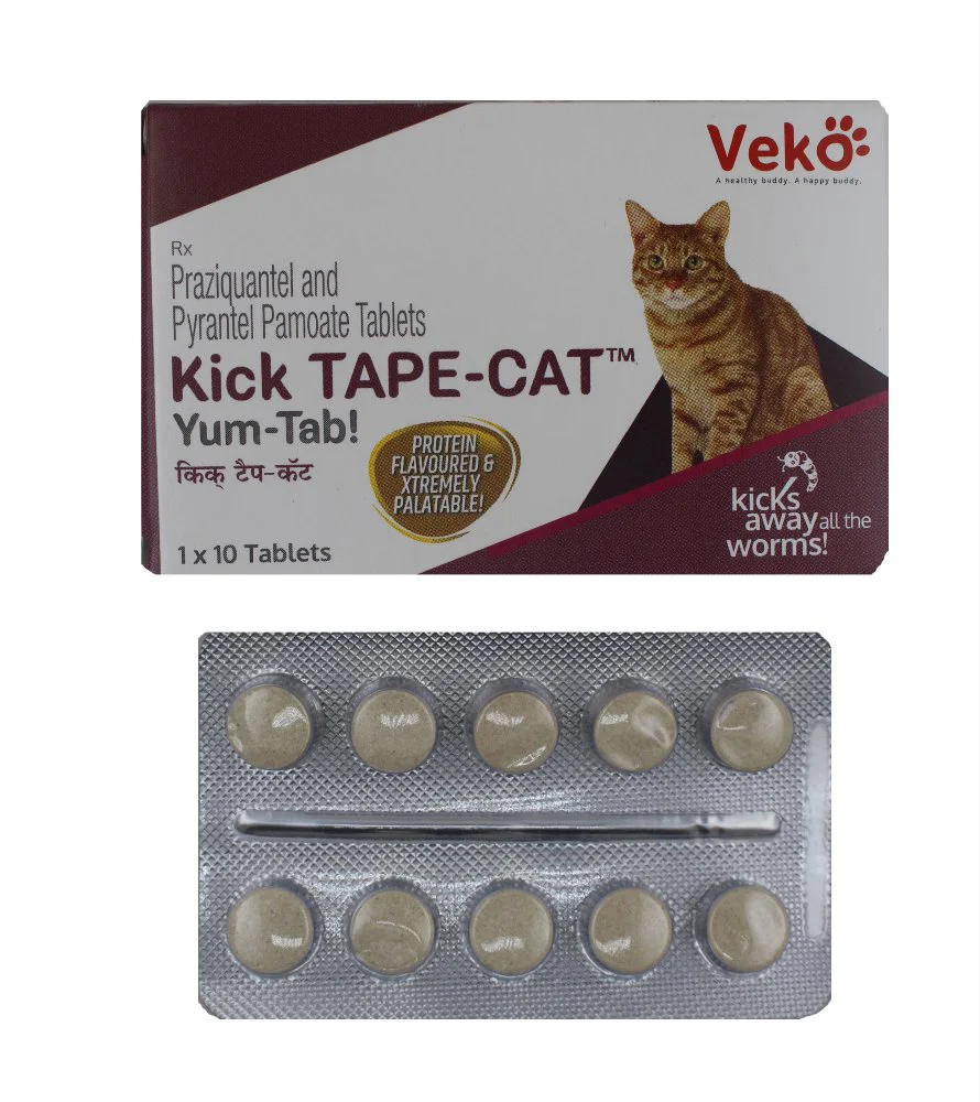 Kick Tape Cat Tab 10's