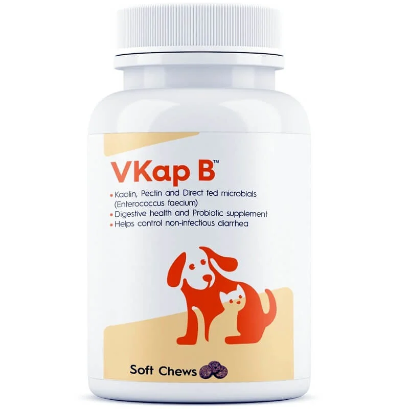 Vkap B 10's