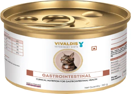 Valdis RX diet cat gastrointestinal can190gm