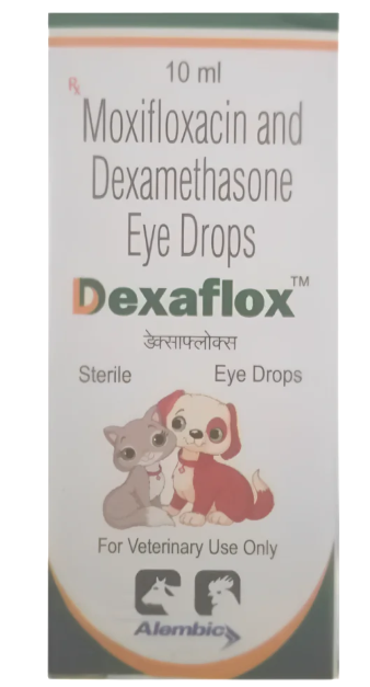 Dexaflox Eye Drops (PET) 10ml