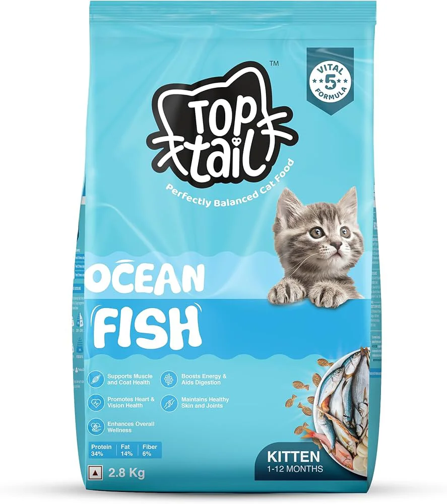 Sniffy Toptail Kitten Oceanfish