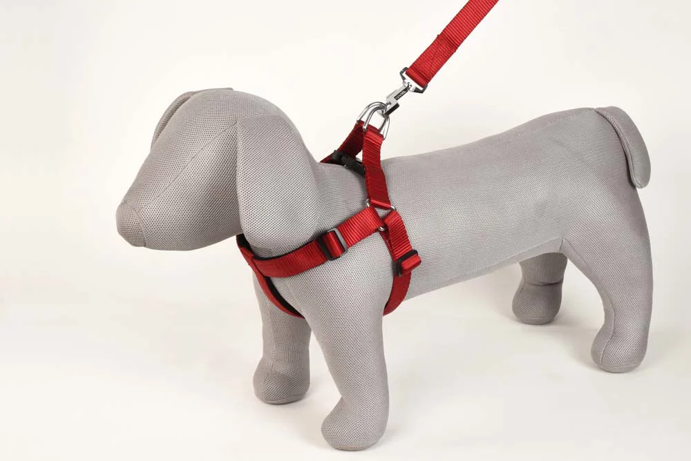 Kennel Padded Soft Nylon Adjustable Harness (W = 1")