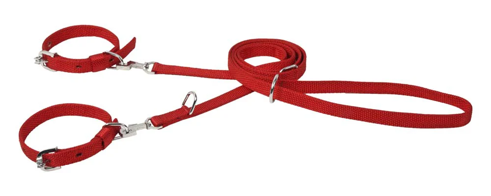 Kennel Nylon. Lead 6 in 1 (W = 3/4" )