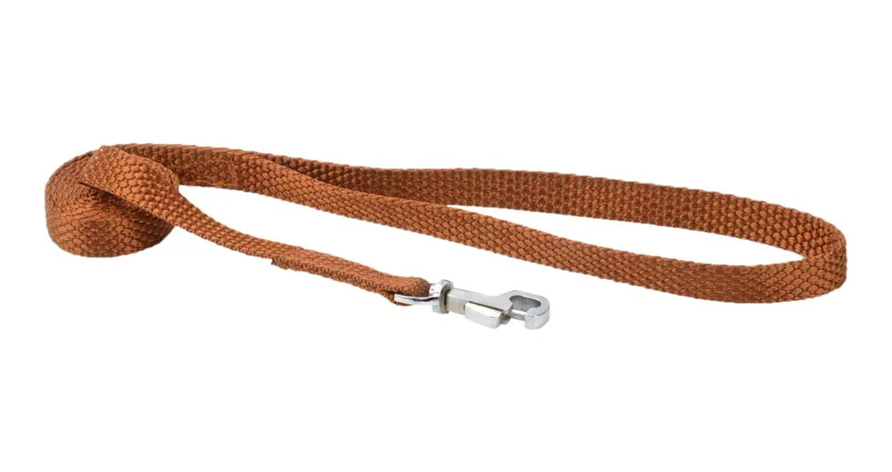 Kennel Nylon Lead (W = 1" x L = 4 Feets)